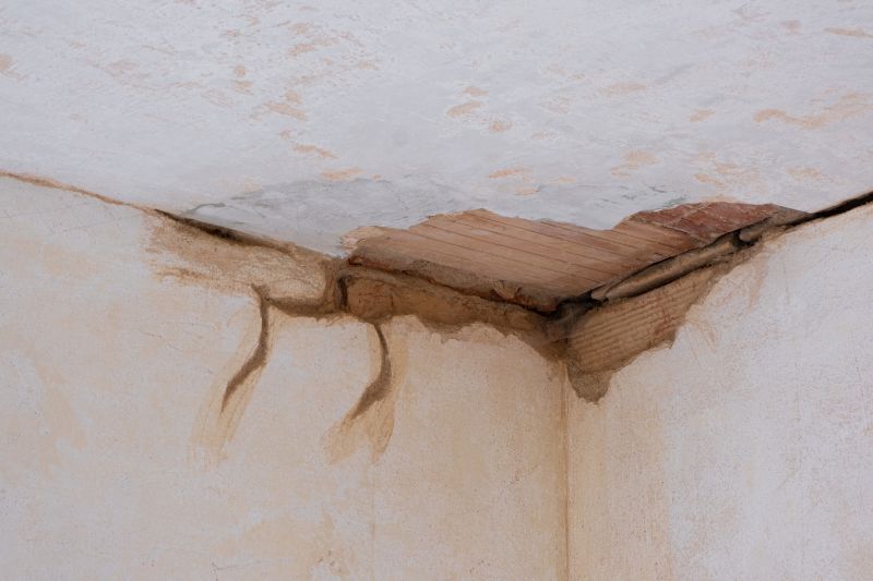 Ceiling And Wall Repair