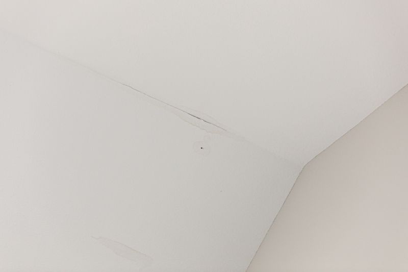 Ceiling And Wall Repair
