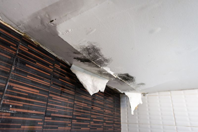 Ceiling And Wall Repair