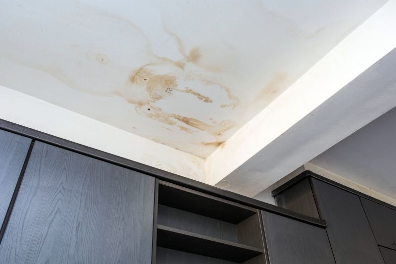 Ceiling And Wall Repair