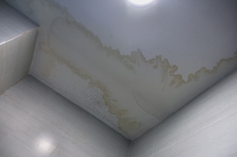 Damaged Ceiling Before Repair
