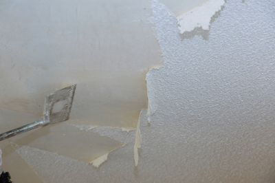 Ceiling Repair Process