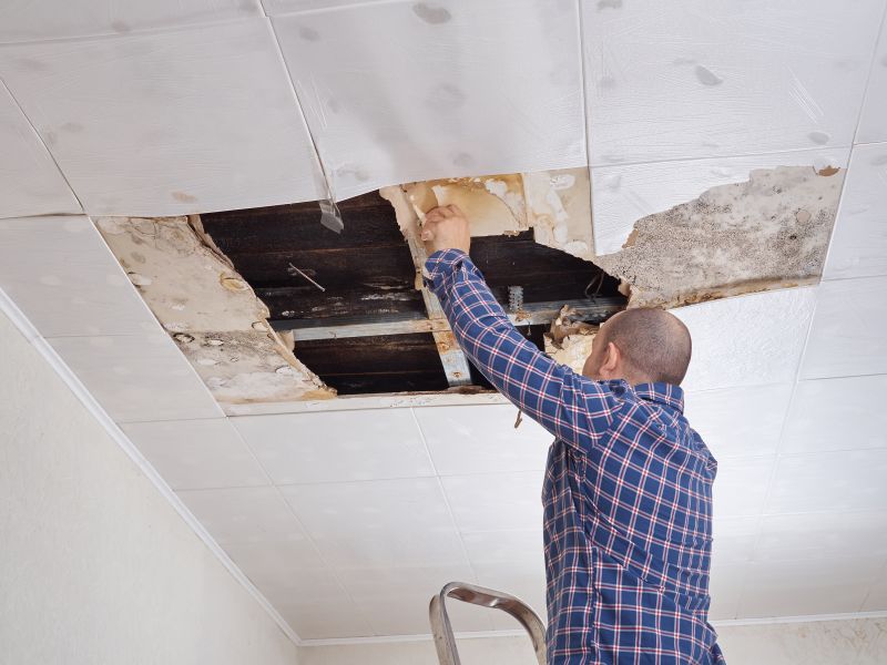 Mold and Water Damage