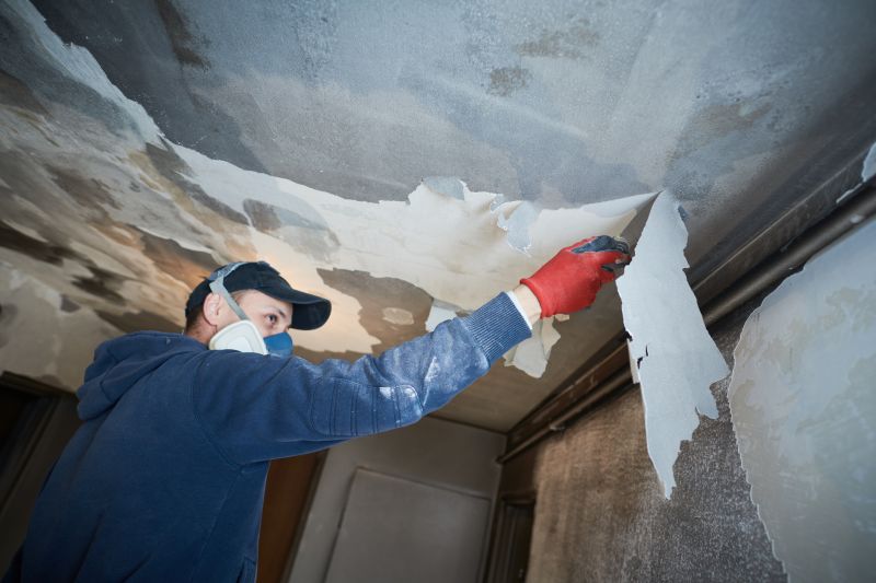 Licensed Ceiling Repair Experts